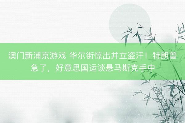 澳门新浦京游戏 华尔街惊出并立盗汗!特朗普急了,好意思国运谈悬马斯克手中