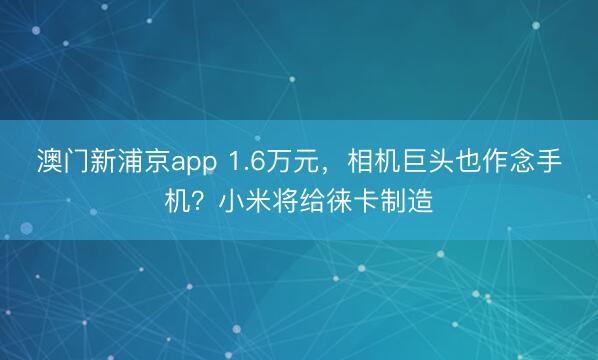 澳门新浦京app 1.6万元，相机巨头也作念手机？小米将给徕卡制造
